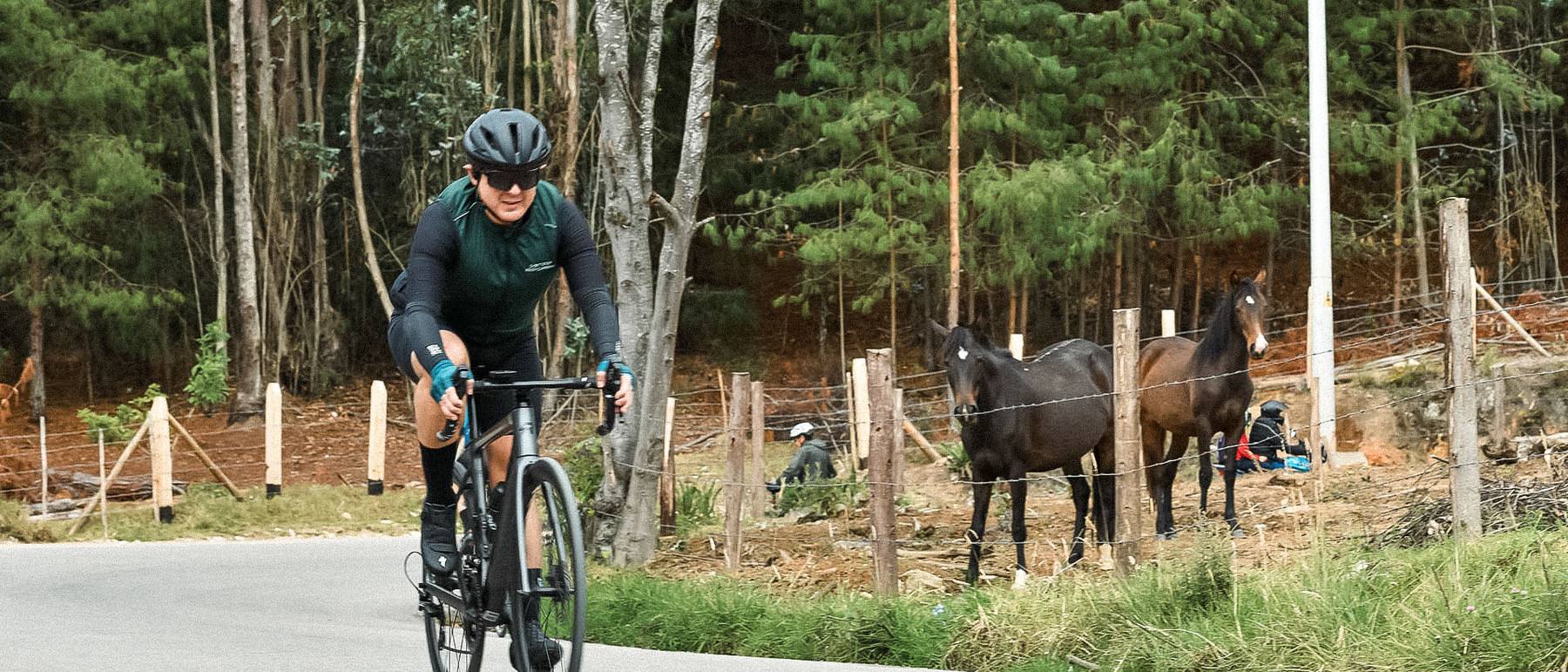 A cyclist on the Boyacá Traverse riding a rural Andean road past grazing horses, Boyacá, Colombia